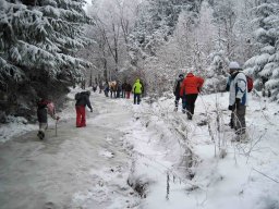 silvestr 2010